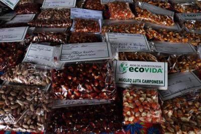 8Âª Feira Regional de Economia SolidÃ¡ria e Agroecologia (FESA) ocorrerÃ¡ no dia 11 de novembro 
